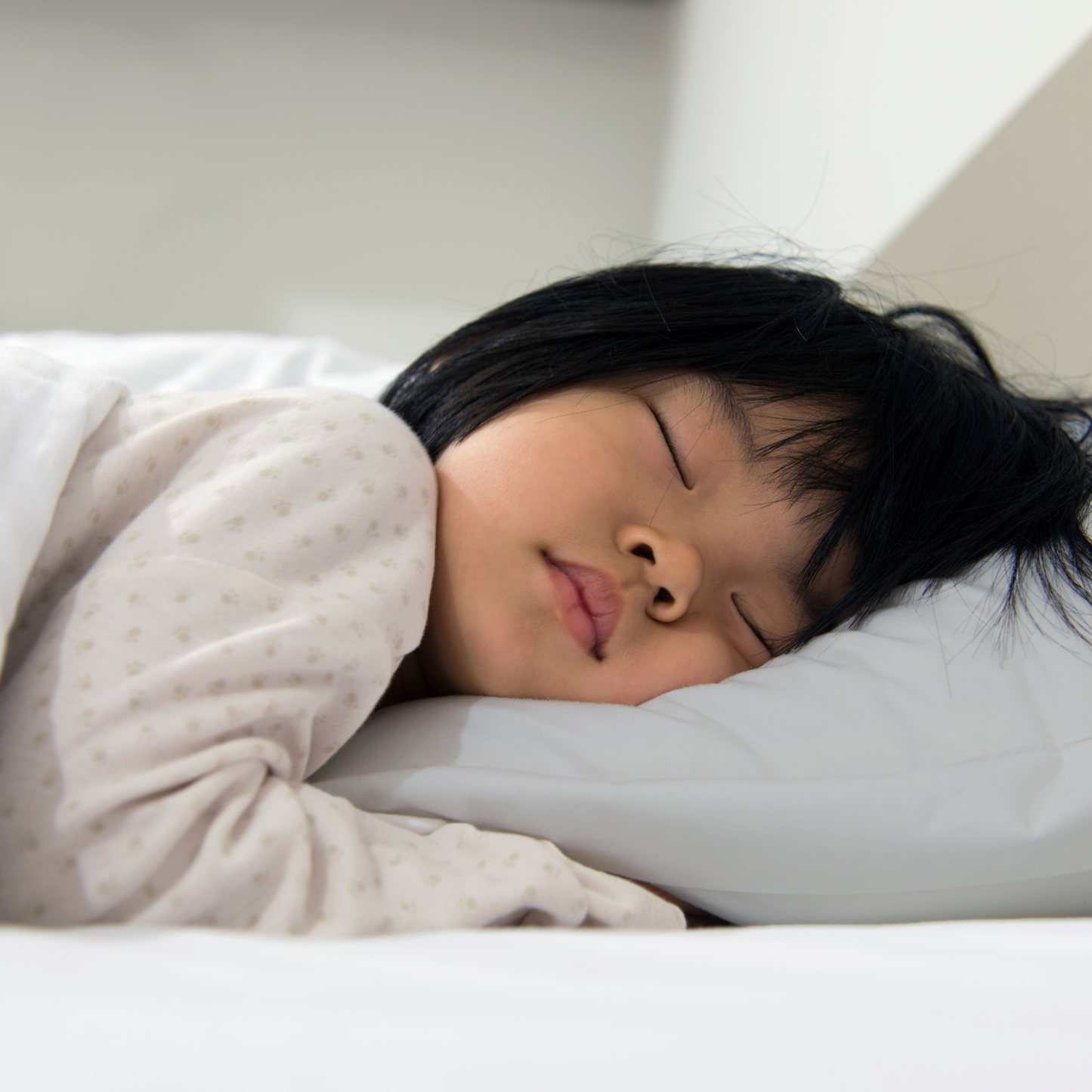 Cotton Pillowcase | Gray