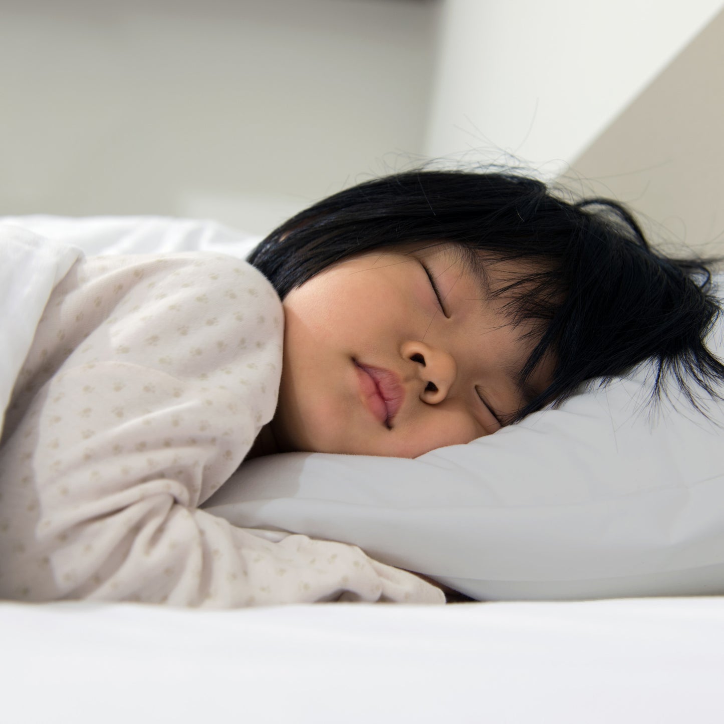 Cotton Pillowcase | Gray