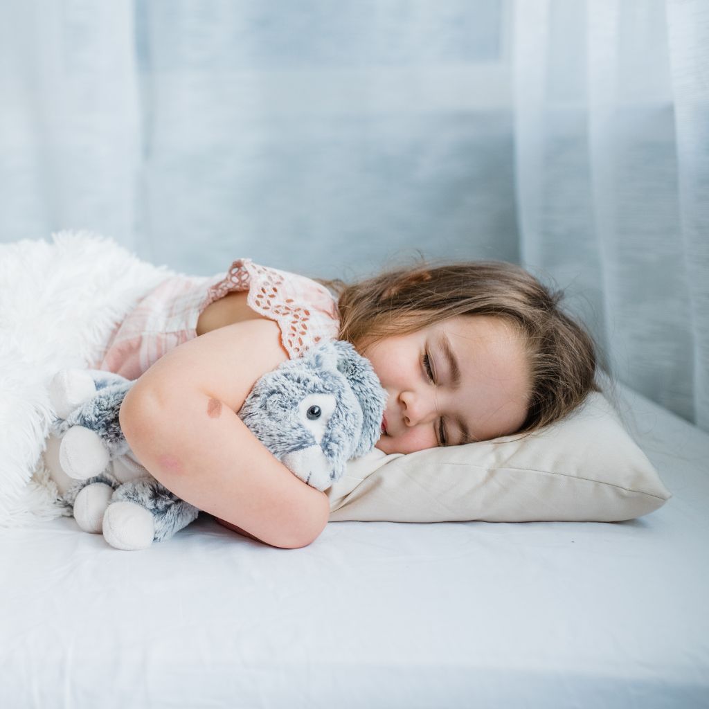 Toddler Pillow - Little Sleepy Head